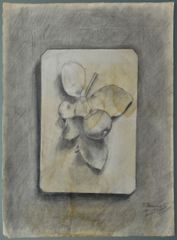 Membrillo - Oscar Tusquets Blanca