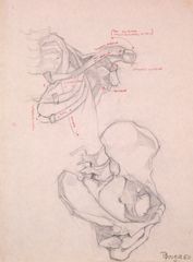 Estudio de esqueleto 02 - Oscar Tusquets Blanca