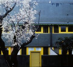 Mozart-Fortuny - Oscar Tusquets Blanca