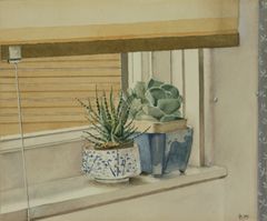 Plantitas en alfeizar - Oscar Tusquets Blanca