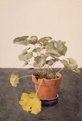 Acuarela de la Reina - Oscar Tusquets Blanca