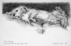 Flock del lado de la oreja rota - Oscar Tusquets Blanca