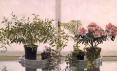 Flores a contraluz - Oscar Tusquets Blanca