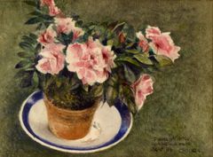 Para Mamá convaleciente - Oscar Tusquets Blanca