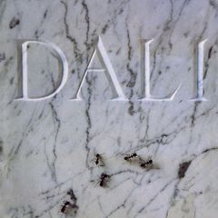 Dalí. The Work - Oscar Tusquets Blanca