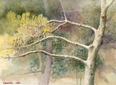 Cap Ferrat - Oscar Tusquets Blanca