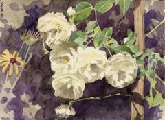 Rosal blanco - Oscar Tusquets Blanca