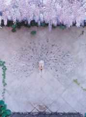 Fuente Daphne - Oscar Tusquets Blanca