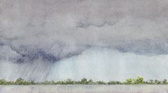 Amazonia, diluvio - Oscar Tusquets Blanca