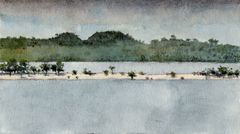 Amazonia, isla - Oscar Tusquets Blanca