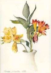 Irlanda - Oscar Tusquets Blanca