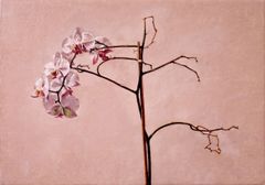 Orquídeas sobre blanco - Oscar Tusquets Blanca