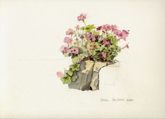 Son Gener 02 - Oscar Tusquets Blanca