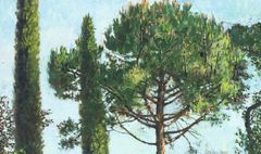 Un pino y dos cipreses - Oscar Tusquets Blanca