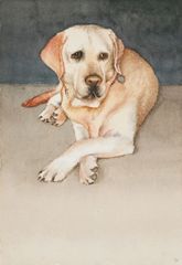 Bruno - Oscar Tusquets Blanca