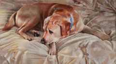 Bruno sobre blanco - Oscar Tusquets Blanca