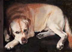 Bruno sobre negro - Oscar Tusquets Blanca