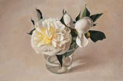 Peonias - Oscar Tusquets Blanca