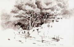 Pins a cala Turqueta - Oscar Tusquets Blanca