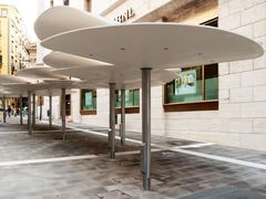 Ginkgo Parasols - Oscar Tusquets Blanca