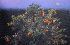 Esferas al amanecer - Oscar Tusquets Blanca