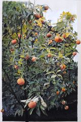 Naranjo borde - Oscar Tusquets Blanca