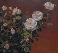 Rosal Blanco - Oscar Tusquets Blanca