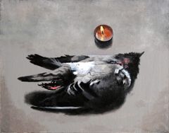 Tórtola - Oscar Tusquets Blanca