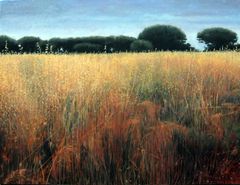 Mar de espigas - Oscar Tusquets Blanca