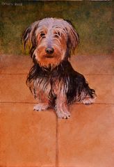 Pepe en el jardín - Oscar Tusquets Blanca