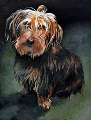 Pepe en interior - Oscar Tusquets Blanca