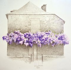 Glicinia francesa - Oscar Tusquets Blanca