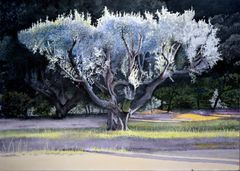 Olivo cervantino - Oscar Tusquets Blanca