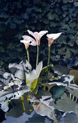 Tres lirios - Oscar Tusquets Blanca