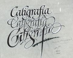 Calligraphy - Oscar Tusquets Blanca