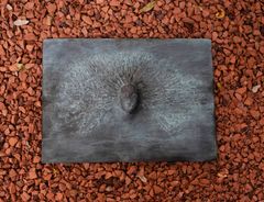 Daphne de bronce - Oscar Tusquets Blanca