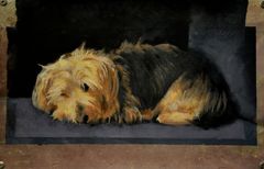 Pepe en el sofá - Oscar Tusquets Blanca