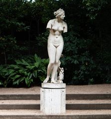 Venus de Medici - Oscar Tusquets Blanca