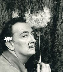 Salvador  - Oscar Tusquets Blanca