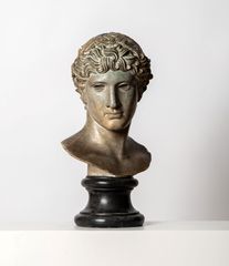 Bust of Antinous - Oscar Tusquets Blanca